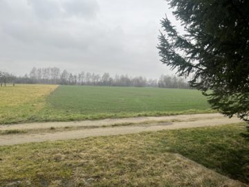 Ehemaliger Bauernhof mit oder ohne landwirtschaftliche Flächen, 01990 Großkmehlen, Einfamilienhaus