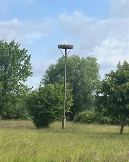 Ehemaliger Bauernhof, 03238 Finsterwalde, Einfamilienhaus