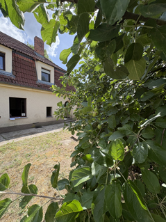 Wohnen auf dem Dorf …, 04916 Gräfendorf, Einfamilienhaus