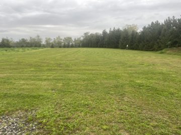 Pferdeliebhaber aufgepasst – Ehemaliger Bauernhof mit Grünland, 04931 Mühlberg, Resthof