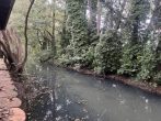 Villenartiges Einfamilienhaus mit Flair und viel Nebengelaß - Kleine Elster hinter dem Grst.